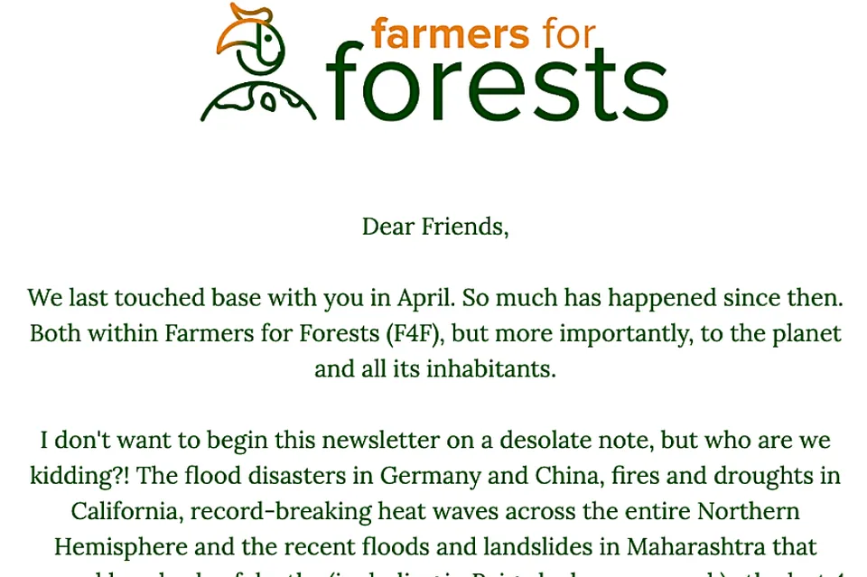 Hornbill Dispatch #4 | When the Earth Shakes, We Dig In [Archive]