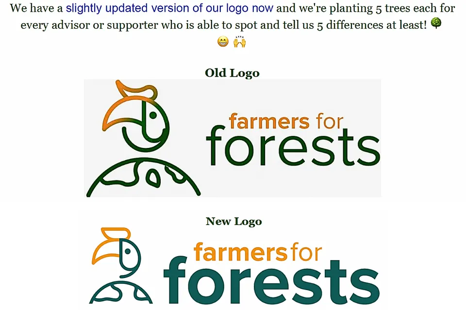 Hornbill Dispatch #8 | Notes from a Young Forest [Archive]