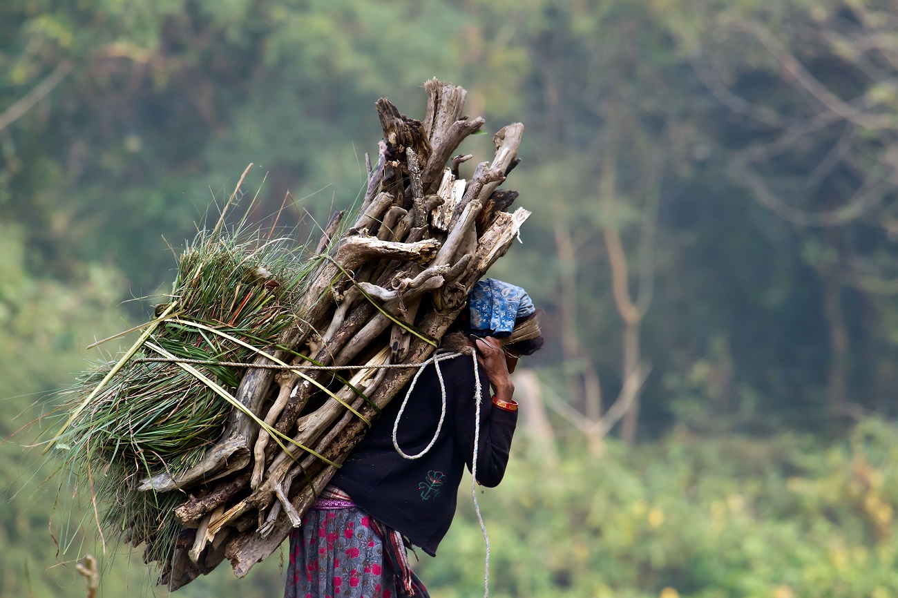 Living alongside giants: preventing human-elephant conflict